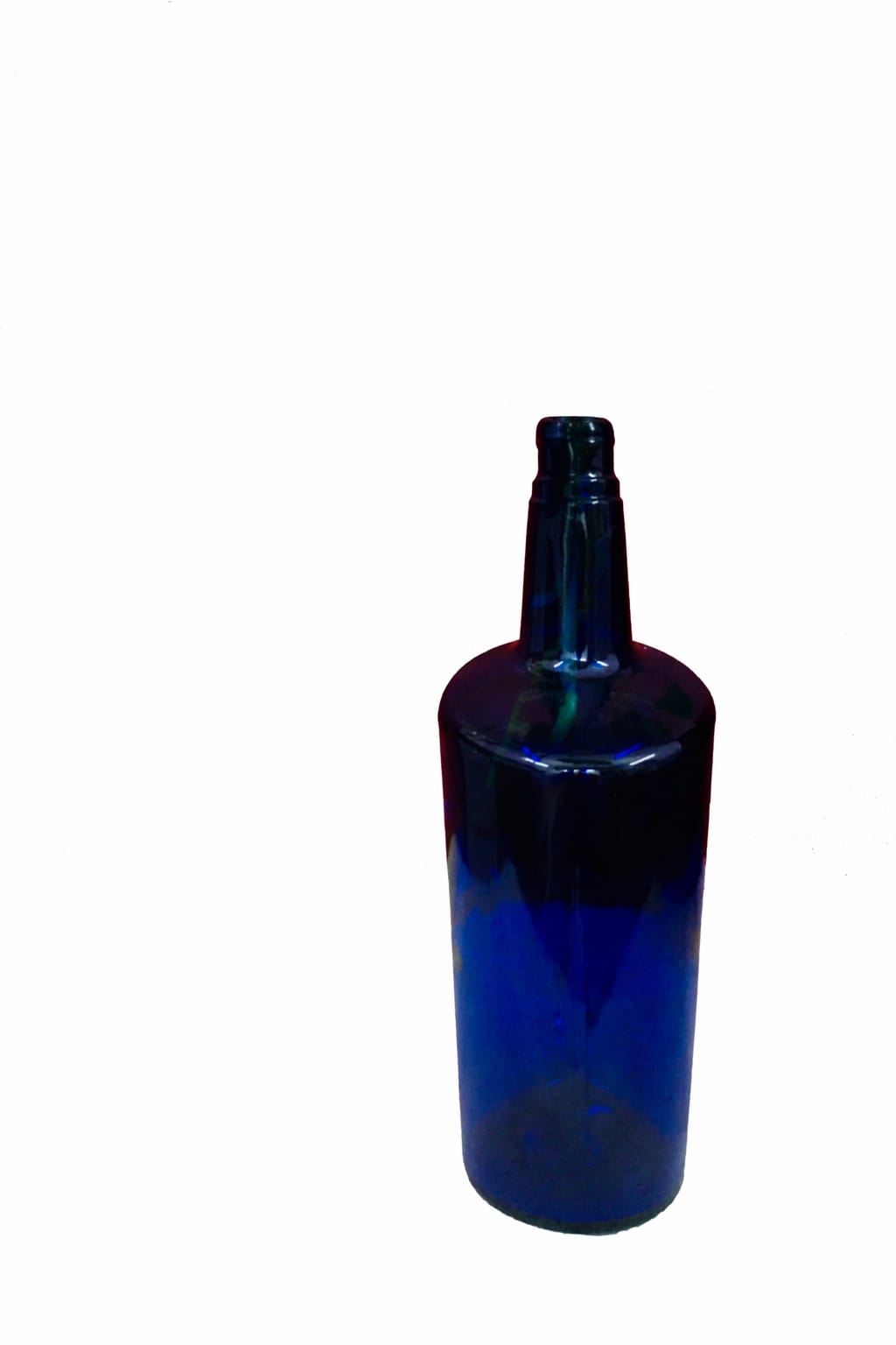 Modern Glass Bottle Money Plant Arrangement